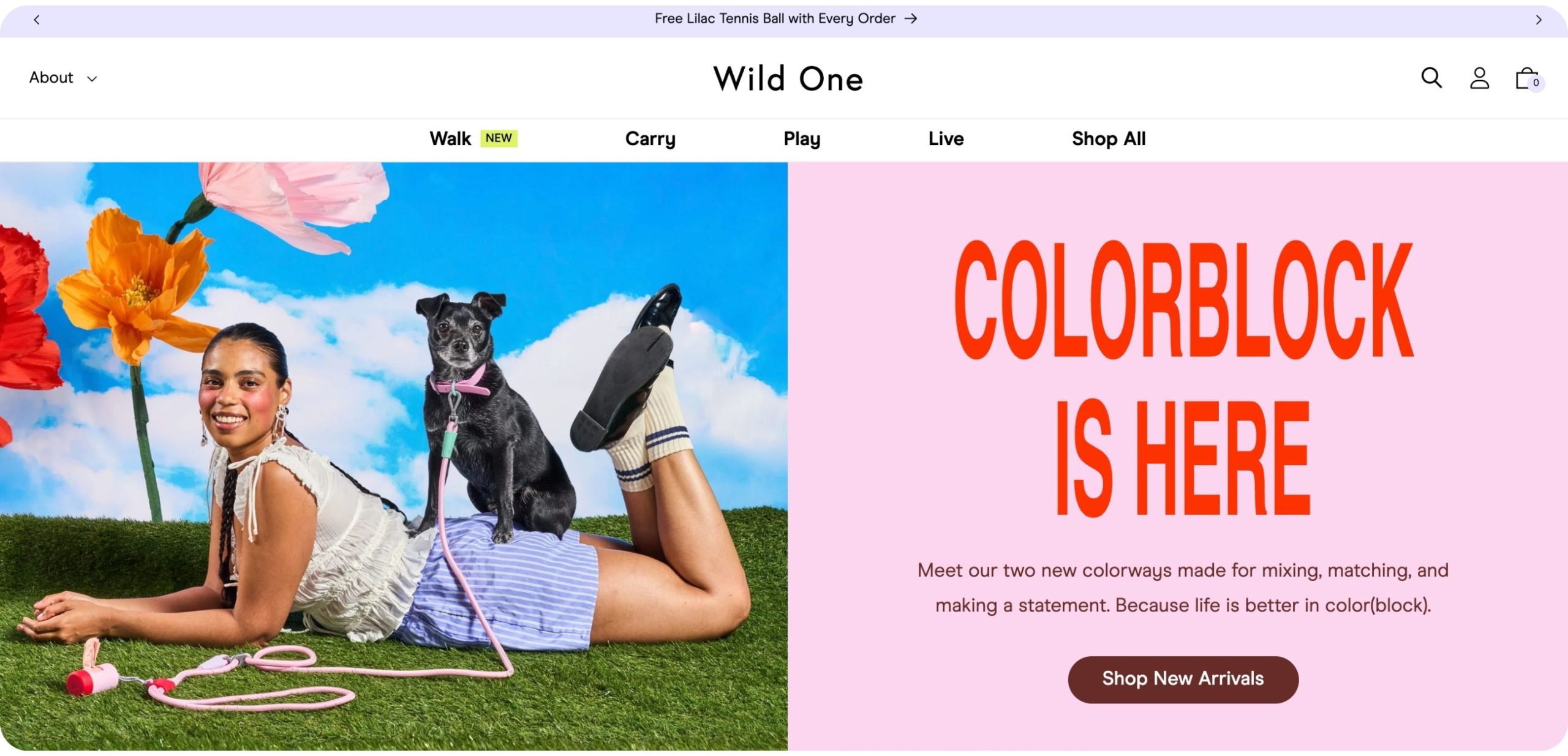 wild one pet affiliate program on skimlinks
